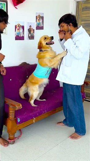 मेरा डॉगी क्यों नाटक कर रहा था😱 #funnydogs #shorts