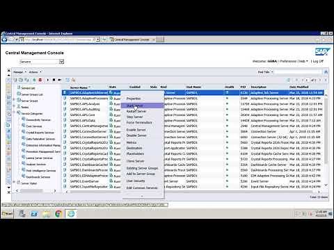 SAP BO Administration - Monitoring Server Status