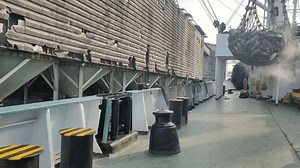 Loading Cargo Transhipment Frozen Skipjack Yellowifin Stock Footage Video (100% Royalty-free) 1103841223 | Shutterstock