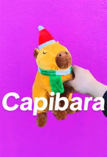 Discover the Cute World of Capybaras