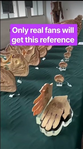 only real fans will get this reference #jojomeme #jojosbizarreadventure #jojo #jjba #jojoreference