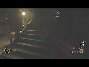 Showcase on where to stand with shell shock and the mods to use on groesten Haus for instakills 😁