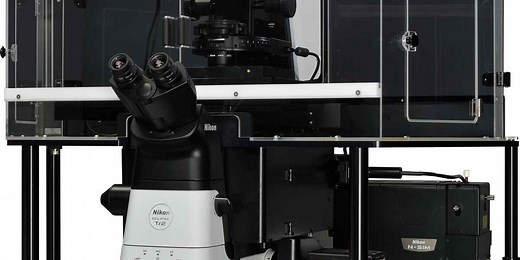 N-SIM E | 结构化照明显微镜的原理