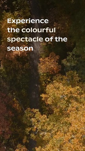 🍁The natural phenomenon of autumn foliage, or ´ruska´ in Finnish, is starting and we hope you get the chance to experience it, too! 🍂Find out when and where to travel in Finland with the help of AI-based Autumn Foliage Live, and see the colour galore in its full glory: https://www.visitfinland.com/en/autumn-foliage-live/?utm_source=facebook&utm_medium=social&utm_campaign=ruskavahti-2022-EN&utm_content=reels #VisitFinland #OurFinland | I wish I was in Finland