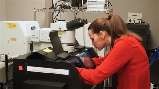 Confocal Imaging of Double-Stranded RNA and Pattern Recognition Receptors in Negative-Sense RNA Virus Infection