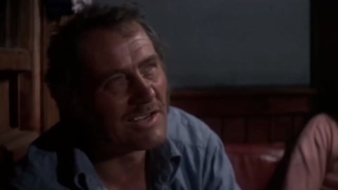 This Cage Scene In Jaws Was More Real Than You Realized