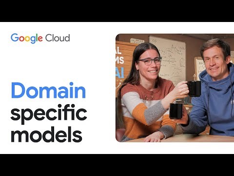 How to choose if you need a domain specific model