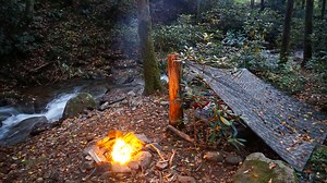 Watch Aquaquest defender Tarp Setup in the forest! on Amazon Live