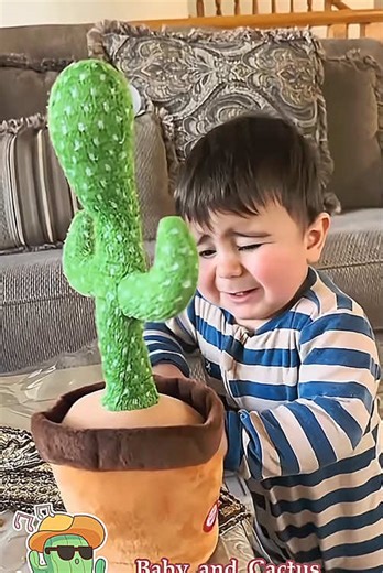Funny Baby and Cactus Prank Video
