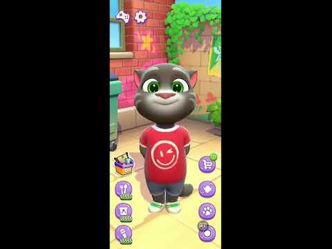 Talking tom cat live