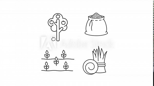 Animated agricultural growth line icons. Cultivating and cropping plants animation set. Farm harvest. Food producing technology. Outline elements on white background. HD video with alpha channel