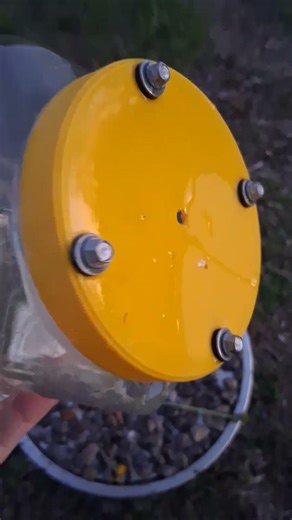Make Simple Bee Feeder