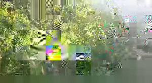 ** K9 Tracking Training Programme - K9 Zeus ** One year old Malinois cross Rottweiler 'Zeus' did very well to find the decoy during his Tracking Training Session today. K9 Zeus will be assisting his family and local farming community with security operations in the Pretoria North area. Tracking K9s can be trained to assist in tracking down a missing person, suspect apprehension, recovery of stolen livestock or property, anti poaching operations as well as hunting dogs. Well Done Boy !! * Call / 