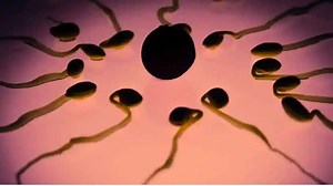 Men vs Pollution: ஆண்களுக்கு ரசாயன மாசுபாடு ஏற்படுத்தும் விந்தணு குறைபாடு