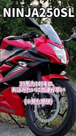 The Ninja 250SL, the hugely popular Ninja, was a flop with its overly sharp single-cylinder engine