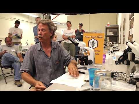 Nosema Count with Randy Oliver - NY Bee Wellness