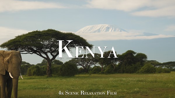 Exploring Animals of Kenya – Captured in 4K
