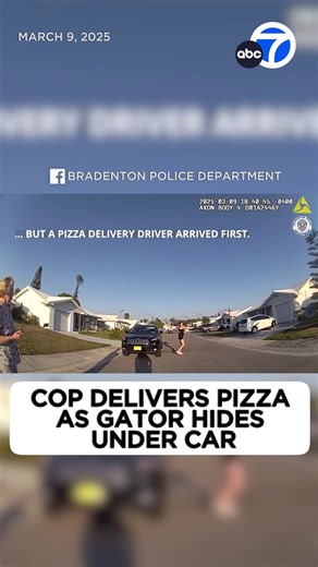 681K views · 10K reactions | After an alligator scared a pizza delivery driver enough to stop her from finishing the job, she asked a police officer for help. The officer responded to the Florida neighborhood after getting calls about the gator wandering the streets. After making sure everyone was safe, the officer got the pizza to the right person. | ABC7 | Facebook