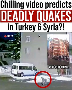 Nightfam, this video contains graphic storytelling. You will be shocked to see the chilling signs before the devastating tragedy in Türkiye and Syria occured... You can send help here: https://disasterphilanthropy.org/donate/turkey-syria-earthquake-recovery-fund/ https://www.whitehelmets.org/en/ https://www.sams-usa.net/donate/ https://www.kizilay.org.tr/Bagis/BagisYap/405/donations-for-earthquake-in-pazarcik https://ahbap.org/disasters-turkey | Project Nightfall