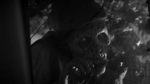 Free Zombie Videos: 4K & HD | No Watermark | Download Now