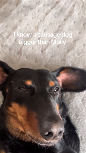 wtf.the00 (@wtf.the00)’s videos with Mrs. Right - Mindless Behavior