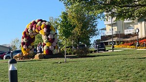 This arch comprised of vibrant mums seems to be a popular place to take photos of your group. The Carlisle Inn - Sugarceek Ohio. Adjacent to the inn, are The Dutch Valley Restaurant and The Ohio Star Theater. Busy place this time of year. | Ohio Amish Country