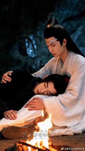 Lan Zhan & Wei Wuxian