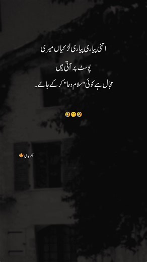 Funny Poetry That Will Brighten Your Day