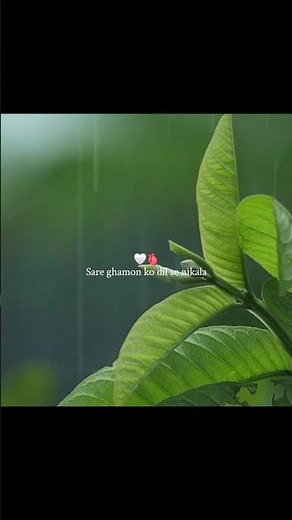 Tum hi ho (Lyrics) ❤️‍🩹 | Arijit Singh, Mithoon #shorts #lyricsvideo #tumhiho #aashique2 #nature