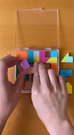 Perfect Packing Puzzle Challenge