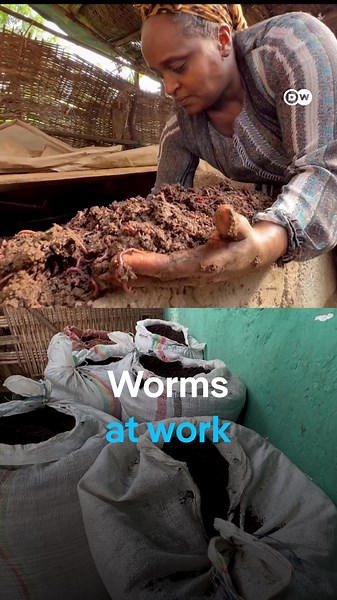 Worms at work: Vermicomposting in Ethiopia
