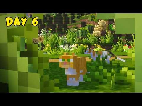 🟡LIVE - Terraforming My Base in Minecraft⚒️| Day - 6