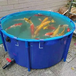 [Hot Item] Plastic Fish Tanks for Catfish Farming