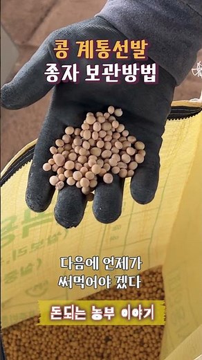 콩 종자 보관 방법│콩 계통선발│무안 콩박사 박명만│콩 재배│콩 농사│서리태│콩키우기│녹채콩│콩 종자