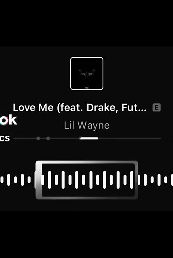 Love Me (feat. Drake & Future) — Lil Wayne lyrics overview