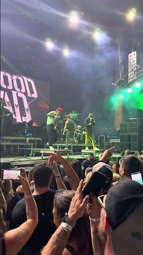 Charlie Scene Has Got a Weenie 🎭 | #adulttravel #concert #hollywoodundead #travel