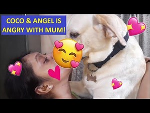 COCO & ANGEL TAKES REVENGE ON MUM WITH SM00CHES | WATCH HOW MUM CONTROLS THEIR ANGER | JUST ENJOY😍💖😍