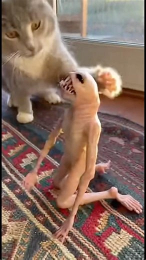 This Creature Didn't Stand a Chance Against My Cat #shorts #alien