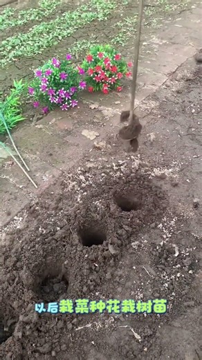 Maximize Your Drill's Potential: Install This Screw Rod & Boost Pit-Digging Speed