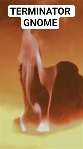 Gnome animation in disassembler like the terminator!