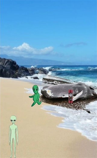 They Exploded a whale #remix #funny #fact #facts