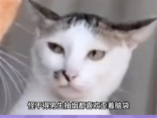 【阿芭叽】最新视频来袭，快来看看吧！
