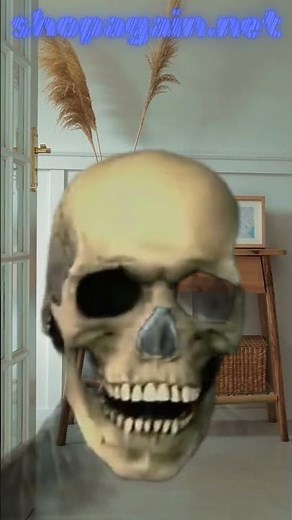 3D Skull Mask Helmet with Movable Jaw | Creepy Halloween Cosplay Prop for Adults