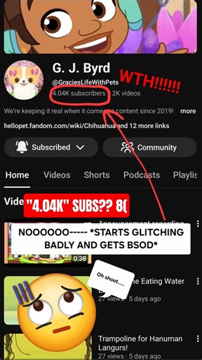Me when ‪@GraciesLifeWithPets‬ finally got "4.04k" subscribers! 8(