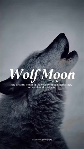 🌕 The Wolf Moon — the first full moon of the year — rises in the heart of winter. Wolf Moon energy -- Not about being loud — about being heard. Trust your sound. Build your pack. Under this moon, we don’t chase crowds… we move as one. 🐺🔥