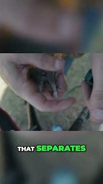 How to Wire Christmas Lights Like a Pro #shorts