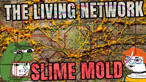 13 reactions | Researchers - Slime Mold is more intelligent then most...