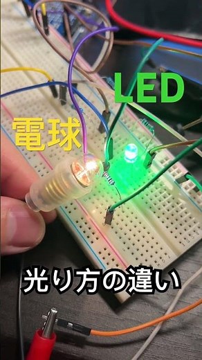 豆電球とLEDだと光り方が結構違う。