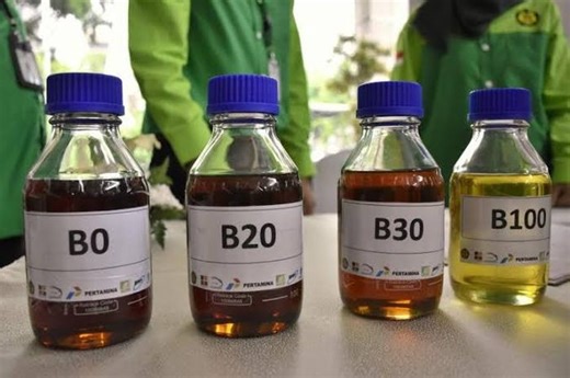 Beda Dari Solar Biasa, Seperti Ini Proses Pembuatan Biodiesel Berharga Rp 12.161 Per Liter - Gridoto