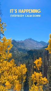 3.4K views · 24 reactions | The leaves are starting to change, and I’m so FREAKING EXCITED  Are you excited for Fall or do you never want summer to end?? | The Worried Wanderer | Facebook